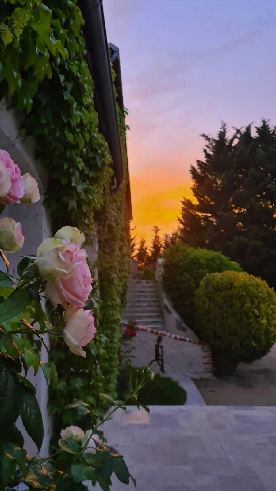 Bed and Breakfast Domaine De La Blonnerie Feings  Exterior foto