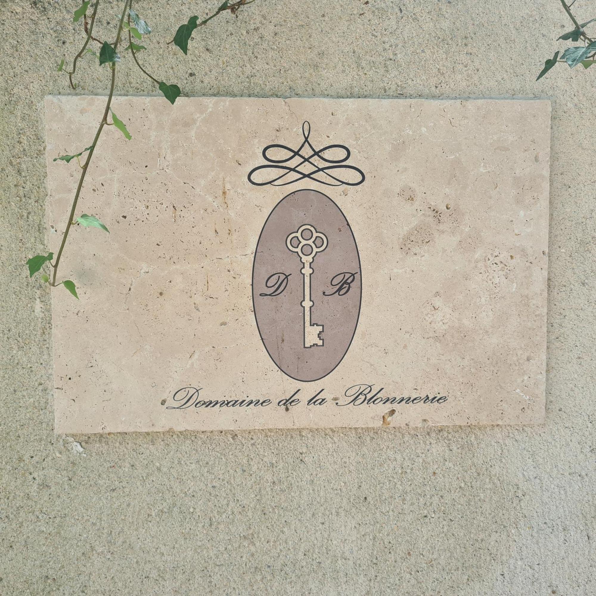 Bed and Breakfast Domaine De La Blonnerie Feings  Exterior foto