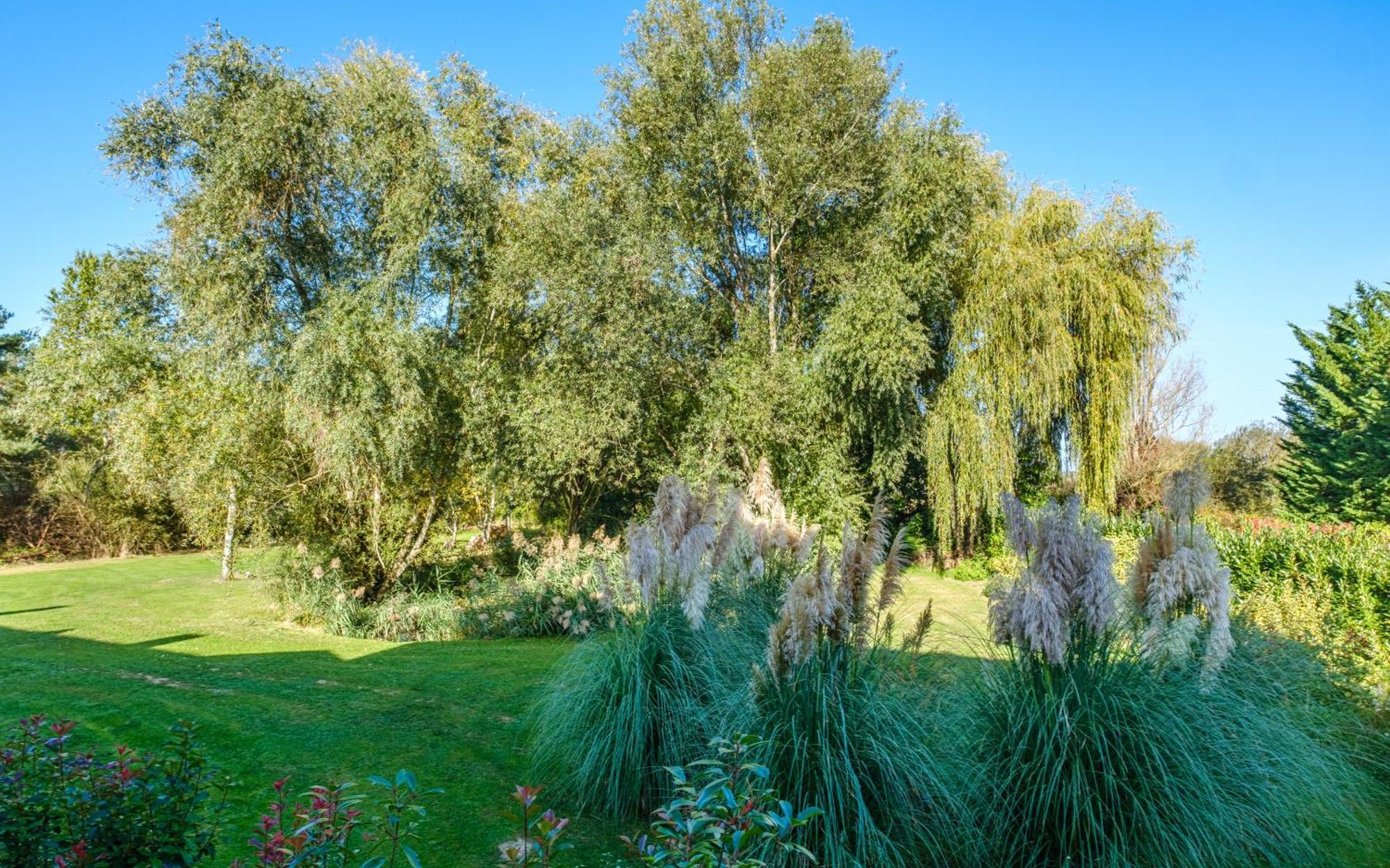 Bed and Breakfast Domaine De La Blonnerie Feings  Exterior foto
